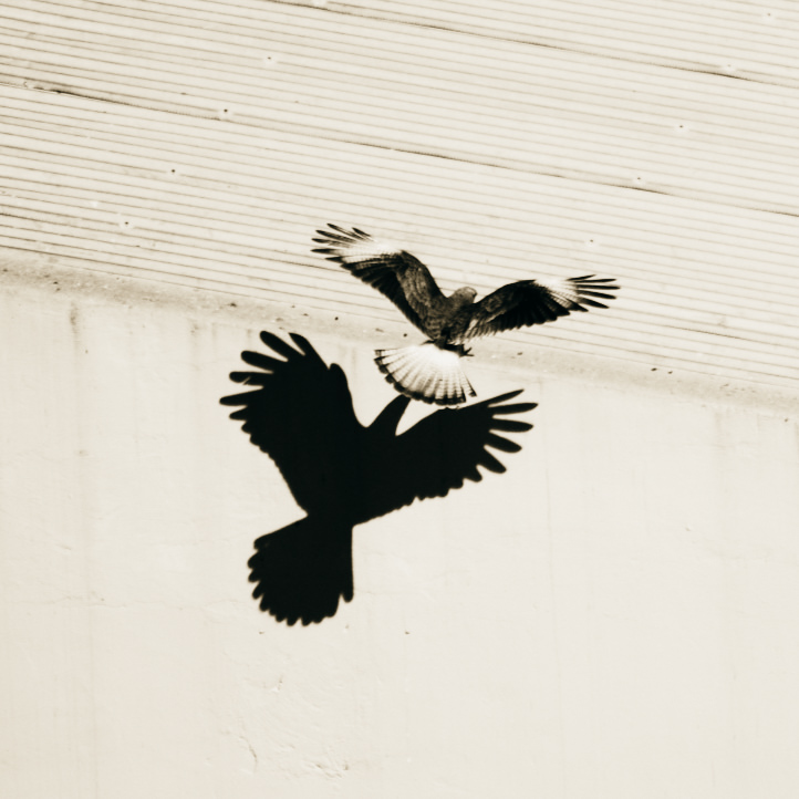 Know-how in Identitätsveränderung führt zu Maximalpotenzial